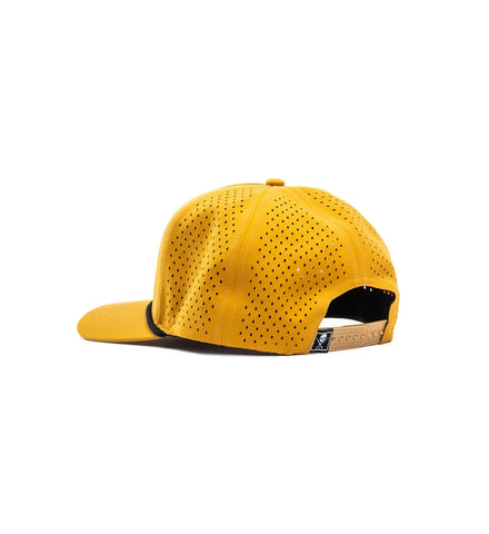 SALT RIVER SNAP BACK